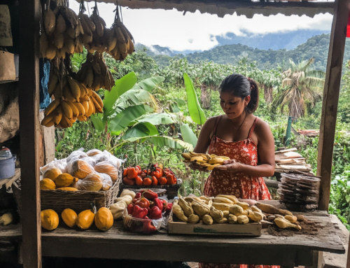 Community-Based Approaches to Poverty Alleviation in Central America